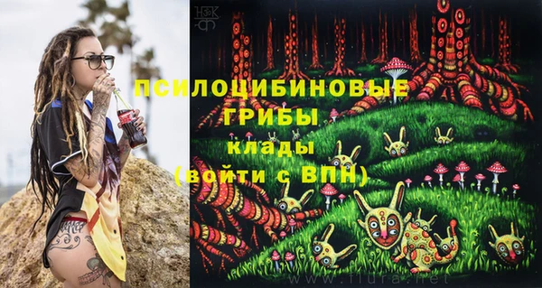 прущая мука Алзамай