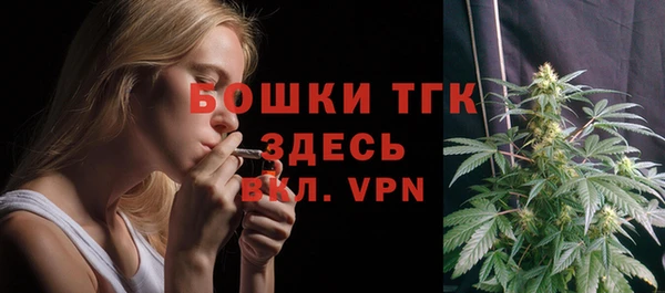 тгк Алексин